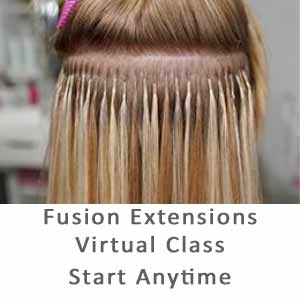 Product image for Babe Fusion Extension Virtual Course