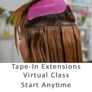 Product image for Babe Tape-in Extension Virtual Course